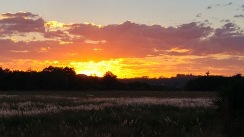 Scenic view of landscape at sunset