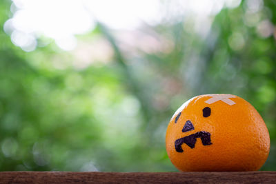 Close-up of orange pumpkin on table