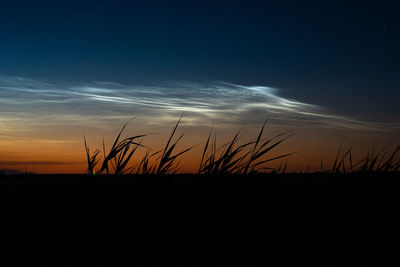 Silhouette plants on field against sky during sunset