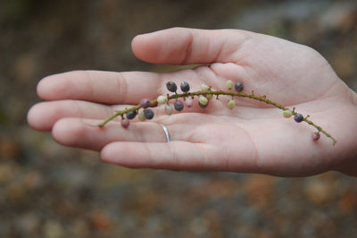 Close-up of person holding hands