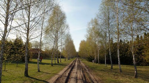 Railroad track amidst trees against sky