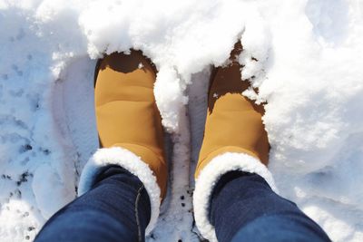 Low section of person in snow