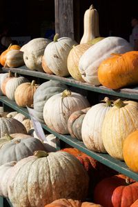 Close-up of pumpkins for sale at market stall