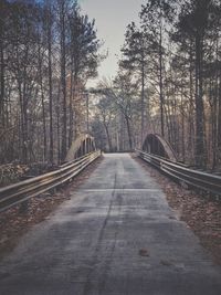 Railroad track amidst trees in forest