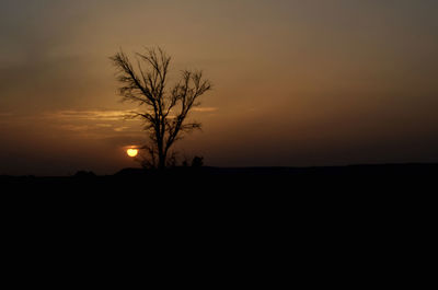 Silhouette bare tree on landscape against sky during sunset