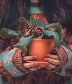 Midsection of woman holding potted plant