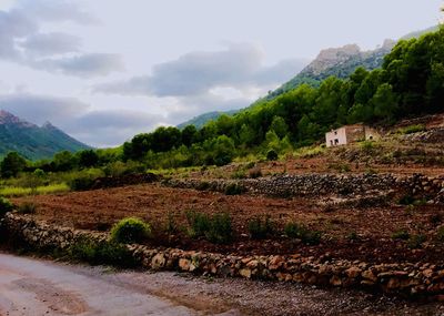 Scenic view of landscape against sky