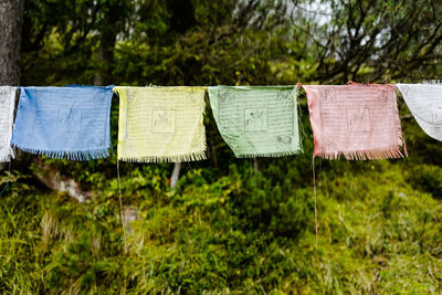 Close-up of clothes drying on clothesline