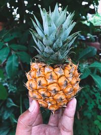 Close-up of hand holding fruit