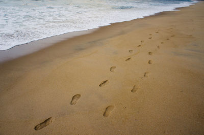 Close-up of footprints on sand at beach