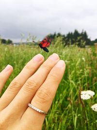 Close-up of hand holding red flower on field