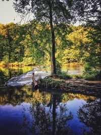 Scenic view of lake in forest against sky