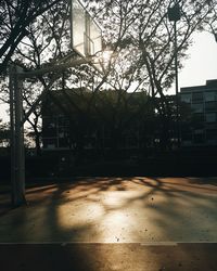 Basketball hoop against trees