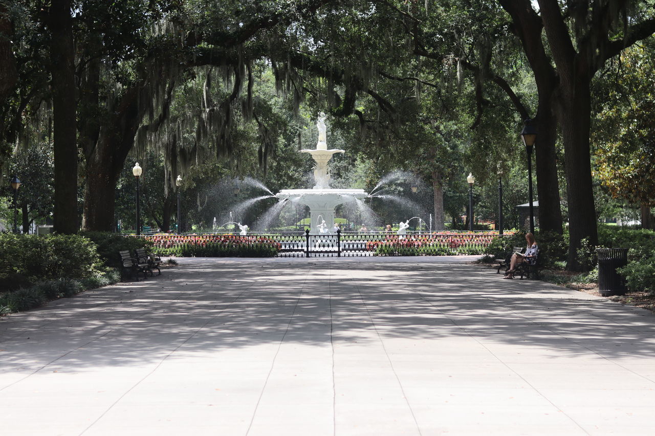 FOUNTAIN AT PARK