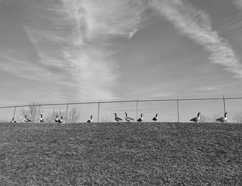 People playing on field against sky