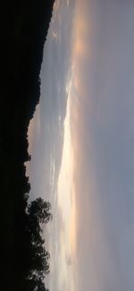 Low angle view of silhouette trees against sky during sunset