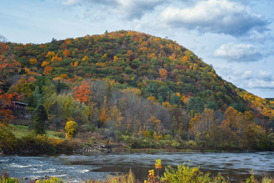 Scenic view of lake by trees against sky during autumn