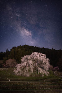 Scenic view of field against sky at night