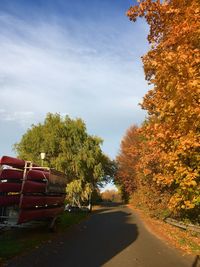 Trees by road against sky during autumn