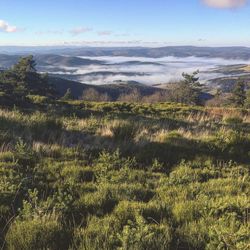 Scenic view of landscape against sky