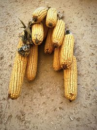 Close-up of food on table