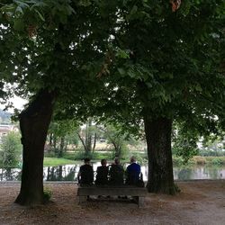 People sitting on bench in park