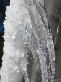 Close-up of frozen ice