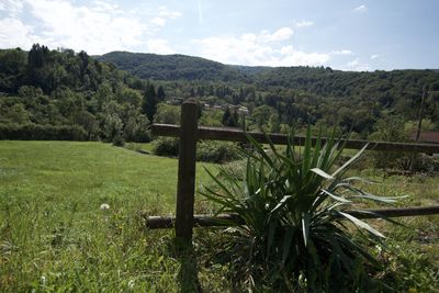 Scenic view of field against sky