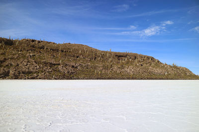 Rocky outcrop on uyuni salt flats known as isla del pescado with uncountable giant cactus, bolivia