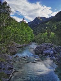 Scenic view of river by trees against sky