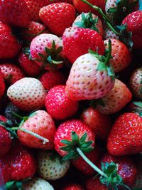 Full frame shot of strawberries