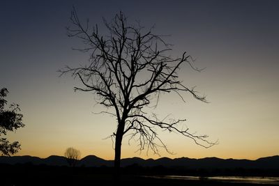 Bare tree against sky during sunset