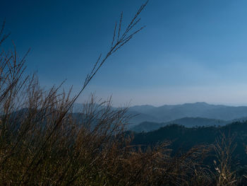 Scenic view of mountains against clear blue sky