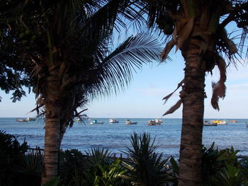 Scenic view of palm trees on beach