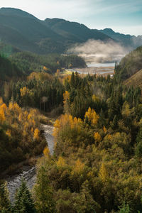 High angle view of trees on landscape during autumn