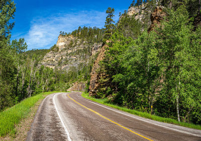 Road by trees against sky