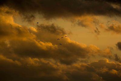 Low angle view of cloudy sky