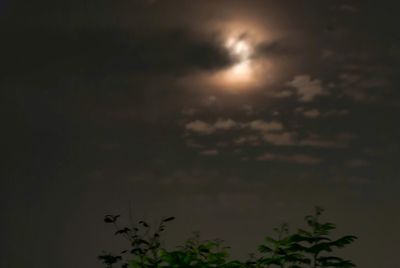 Low angle view of sky at night