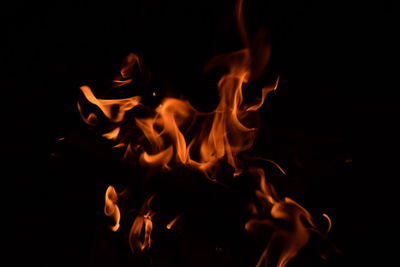 Close-up of fire in the dark