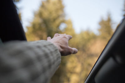 Close-up of hand against trees