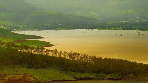 Scenic view of landscape