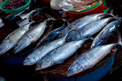 High angle view of fish for sale in market