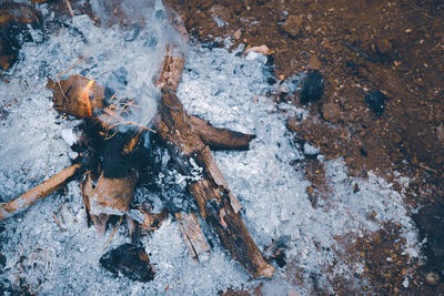 High angle view of bonfire on wood