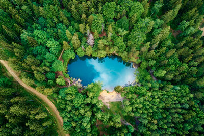 Aerial view of blue colored forest lake in poland