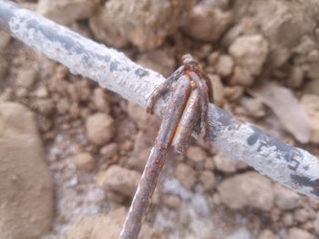 Close-up of rope tied on wood