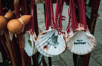 Close-up of seashells
