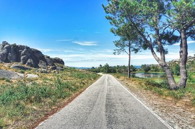 Road amidst trees against clear sky