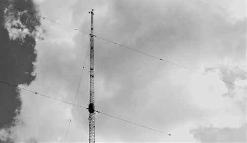 Low angle view of birds flying against sky