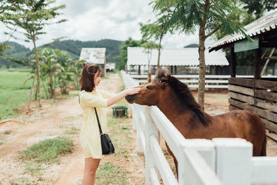 Woman touching horse at stable