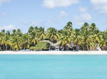 Palm trees by swimming pool against sky